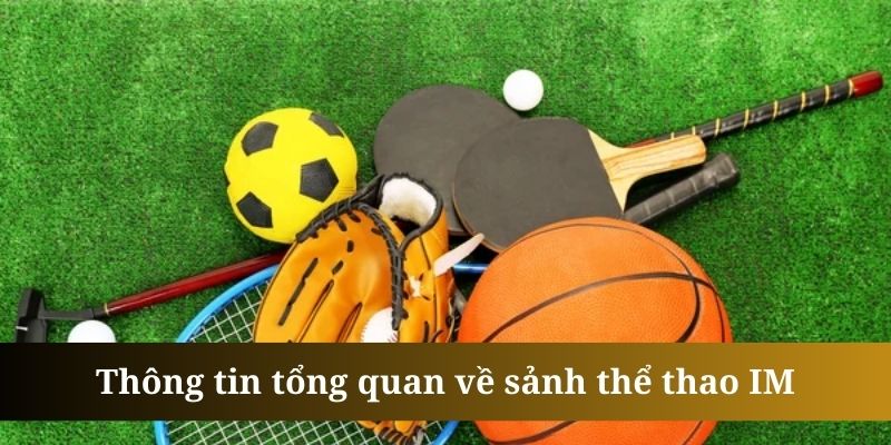 Thể thao IM là sảnh cược được 98win đầu tư tâm huyết